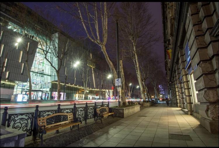 Rustaveli Apartment City Centre Tbilisi ภายนอก รูปภาพ